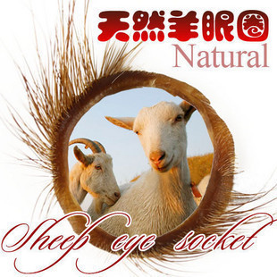 阴茎套环--羊眼圈锁精环计生夫妻情趣环套环
